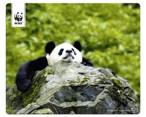 Speedlink (B-WARE) Terra WWF Panda Mauspad Speedlink (B-WARE) Terra WWF Panda Mauspad