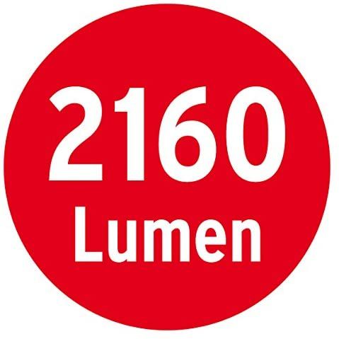 Brennenstuhl LED-Strahler Duo Premium City / LED-Leuchte für außen 