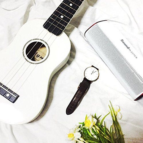 Creative (B-WARE) Sound Blaster Free Tragbarer Bluetooth-Lautsprecher