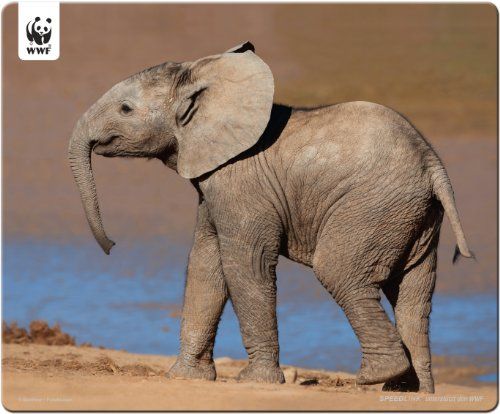 Speedlink (B-WARE) Terra WWF Mauspad Elefant 