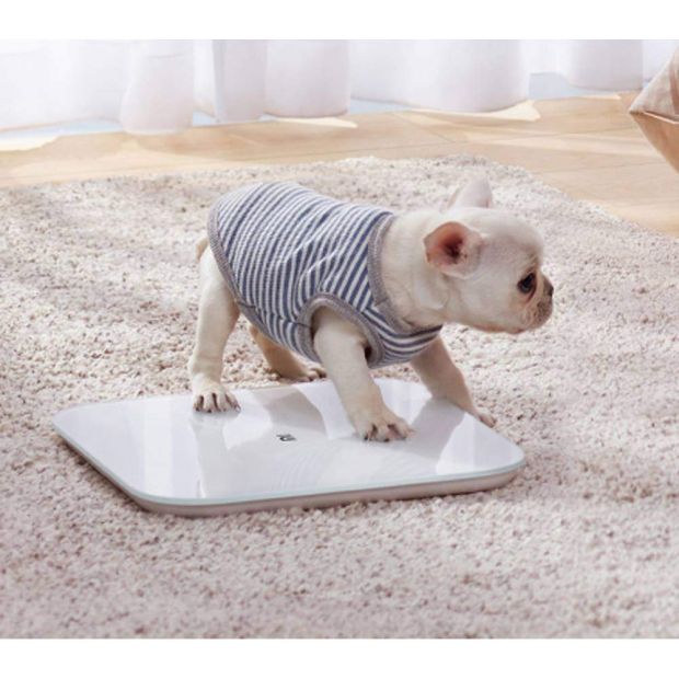 Xiaomi Mi Smart Scale 2 Waage Fitness Personenwaage APP iOS Android
