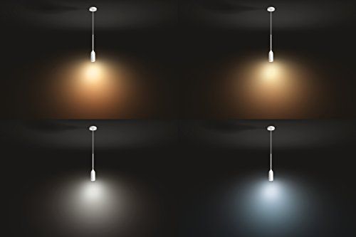 Philips Hue LED Pendelleuchte Smart Leuchtmittel 