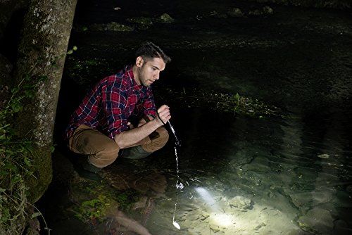 Brennenstuhl Taschenlampe LED LuxPremium Taschenleuchte mit CREE-LED Brennenstuhl Taschenlampe LED LuxPremium Taschenleuchte mit CREE-LED