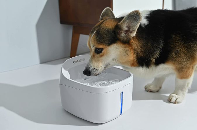 DOGNESS Wasserspender Trinkbrunnen für Katzen und Hunde DOGNESS Wasserspender Trinkbrunnen für Katzen und Hunde