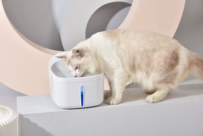 DOGNESS Wasserspender Trinkbrunnen für Katzen und Hunde DOGNESS Wasserspender Trinkbrunnen für Katzen und Hunde