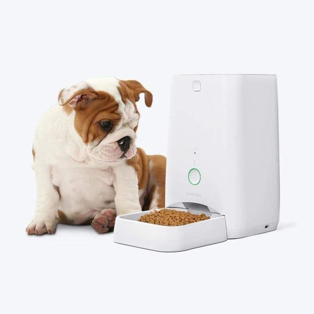 Dogness Futterautomat Futterspender Katze Hund 3kg Futter LED Eingebautes Mikrofon 