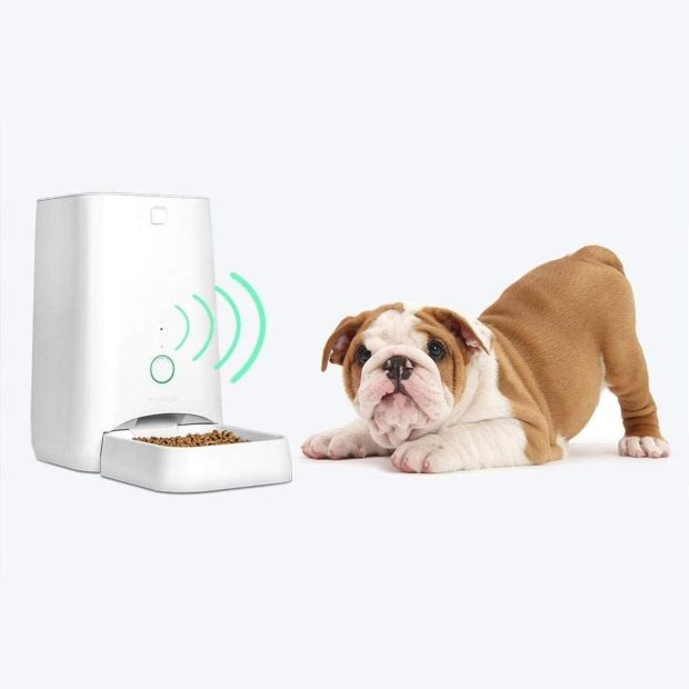 Dogness Futterautomat Futterspender Katze Hund 3kg Futter LED Eingebautes Mikrofon 