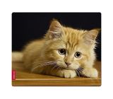 Speedlink (B-WARE) Mauspad mit Textiloberfläche - SILK Mousepad