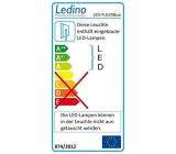 Ledino LED-Flutlichtstrahler in Schwarz mit Epistar LEDs 20 W Kaltweiß