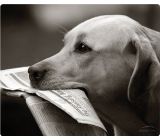 Speedlink (B-WARE) Silk Mauspad Hund Mousepad