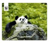 Speedlink (B-WARE) Terra WWF Panda Mauspad 