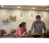 Philips Hue LED Pendelleuchte Smart Leuchtmittel 