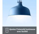 TP-Link Tapo E27 Smart Leuchtmittel WLAN 8.7W Dimmbar Lampe 4ER PACK [B-WARE]