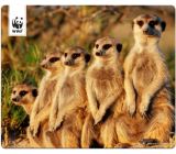 Speedlink (B-WARE) Mauspad- TERRA WWF Mouse Pad Erdmännchen Mousepad