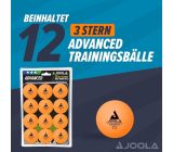 [KOMBİ DEAL] JOOLA Tischtennisplatte mit Netz Mittelgroß mit 24x Tischtennisbälle 