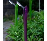 Eco Light Flame SOLAR LED Gartenlaterne Gartenleuchte Außenleuchte SET