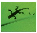 Speedlink (B-WARE) Silk Mauspad Gecko 