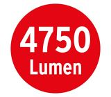 Brennenstuhl Slim LED Strahler außen mit Bewegungsmelder + Gratis Brennenstuhl Universalleuchte 