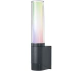 LEDVANCE Smart LED Aussenleuchte Wandlampe App-Steuerung Gartenlampe
