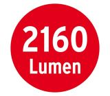 Brennenstuhl LED-Strahler Duo Premium City Leuchte 30 Watt