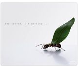 Speedlink Silk Mauspad Ameise verschiedene Motive Mousepad