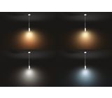 Philips Hue LED Pendelleuchte Smart Leuchtmittel 
