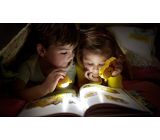 Philips Disney LED Taschenlampe Winnie Puuh 0,3 W Gelb