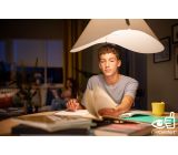 Philips LED E27 Glühbirne 11,5W = 100W Warmweiß  2700K