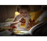 Philips Disney LED Taschenlampe Winnie Puuh 0,3 W Gelb