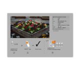Ledvance Smart+ WiFi LED Außenleuchte RGB Gartenleuchte