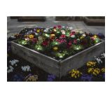 Ledvance Smart+ WiFi LED Außenleuchte RGB Gartenleuchte