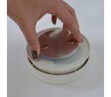 Brennenstuhl BR 1000 Magnet Montageplatte für Rauchmelder Magnethalter 