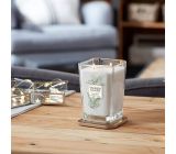 Yankee Candle Groß im Glas Raumduft Lufterfrischer 2-Docht Teelichter Arctic Frost