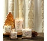 Yankee Candle Groß im Glas Raumduft Lufterfrischer 2-Docht Teelichter Arctic Frost