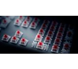 Trust GXT 865 Asta Gaming Mechanische Tastatur mit Trust Kabellos Gamepad [Kombi Deal]
