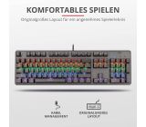 Trust GXT 865 Asta Gaming Mechanische Tastatur mit Trust Kabellos Gamepad [Kombi Deal]