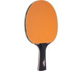 JOOLA TISCHTENNISPLATTE MIT NETZ & ITTF MATCH TISCHTENNISSCHLÄGER & 12ER TISCHTENNISBÄLLE