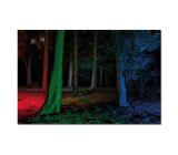 Ledlenser P7QC LED Taschenlampe Multicolor Leuchtweite mit Batterie