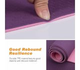 Fidusport Bunt TPE Gymnastikmatte Yogamatte Fitnessmatte 183x61x0,6 