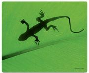 Speedlink (B-WARE) Silk Mauspad Gecko (weiche Oberfläche, geringer Gleitwiderstand, gummierte Unterseite, verschiedene Motive)